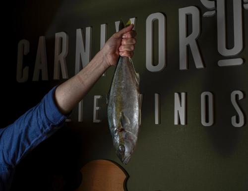 Imagen general del Hotel Ciudad del Sol. Foto 12