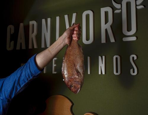 Imagen general del Hotel Ciudad del Sol. Foto 15