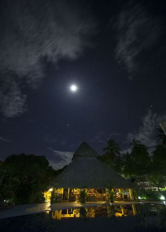 Imagen de la habitación del Hotel Clandestino Beach. Foto 5