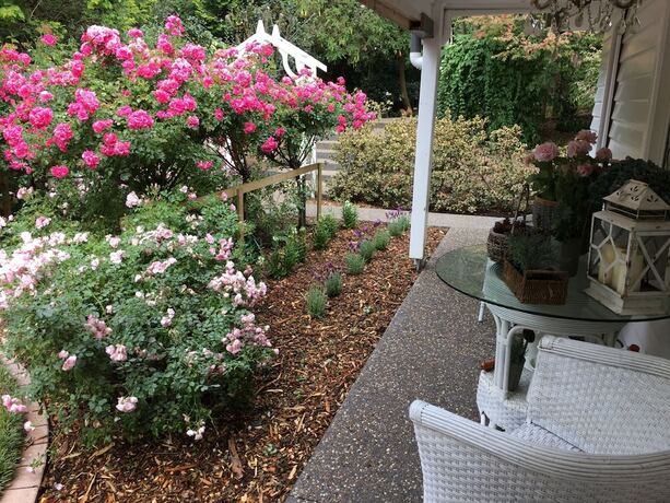 Imagen general del Hotel Clarendon Cottages. Foto 12