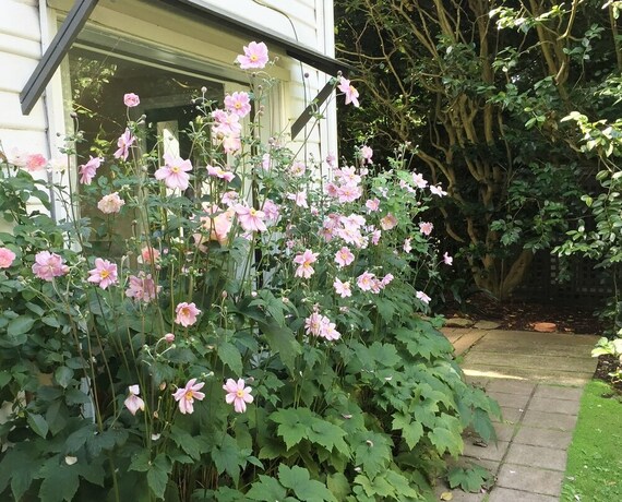 Imagen de la habitación del Hotel Clarendon Cottages. Foto 28