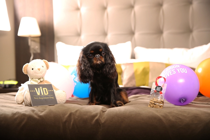 Imagen general del Hotel Clarion Admiral. Foto 3