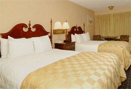 Imagen de la habitación del Hotel Clarion Beachfront. Foto 16