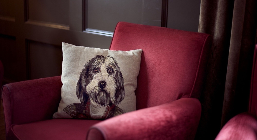 Imagen de los interiores del Hotel Clarion Collection Uman. Foto 16