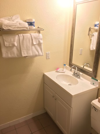 Imagen de la habitación del Hotel Clarion Conference Center. Foto 7