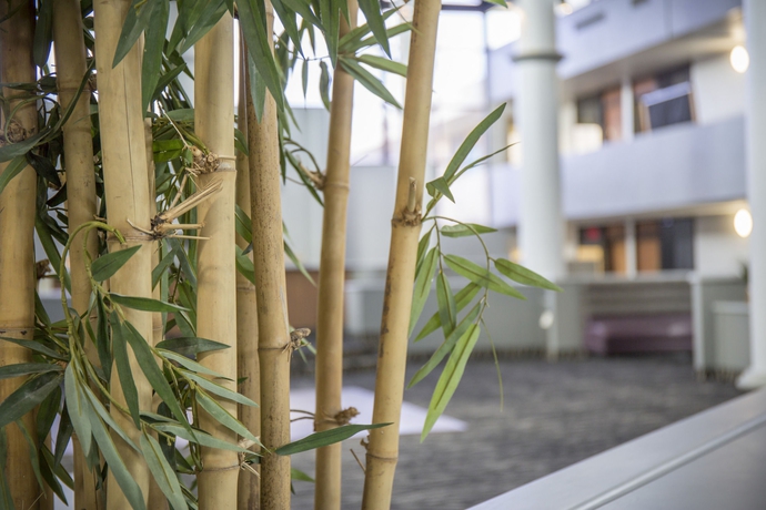 Imagen de los exteriores del Hotel Clarion Hotel Orlando International Airport. Foto 4