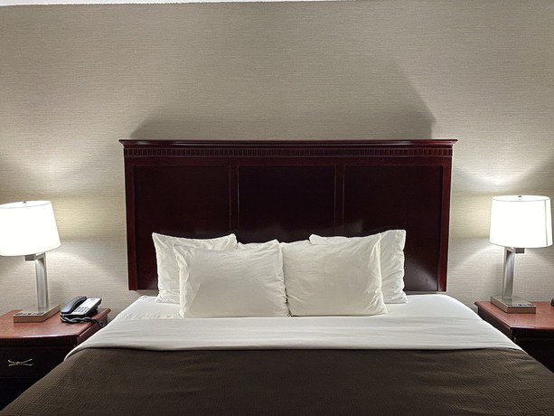 Imagen de la habitación del Hotel Clarion Inn And Suites Airport. Foto 16