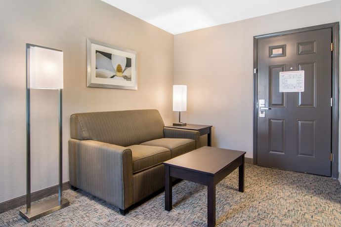 Imagen de la habitación del Hotel Clarion Inn And Suites Atlanta Downtown. Foto 7