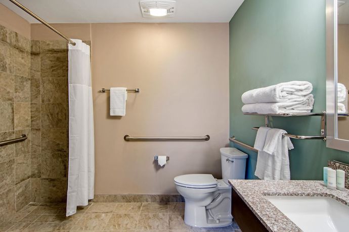 Imagen de la habitación del Hotel Clarion Inn And Suites Atlanta Downtown. Foto 18