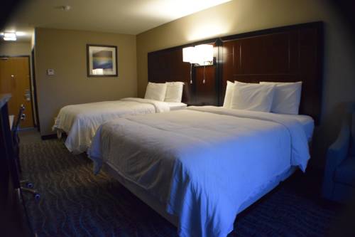 Imagen de la habitación del Hotel Clarion Inn Auburn Seattle. Foto 14