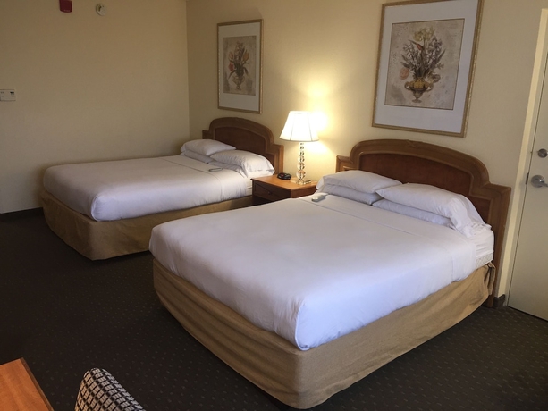 Imagen de la habitación del Hotel Clarion Inn International Drive, Orlando. Foto 9