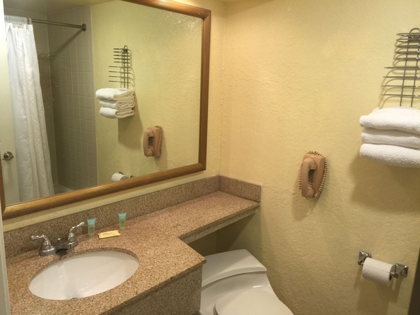 Imagen de la habitación del Hotel Clarion Inn International Drive, Orlando. Foto 7