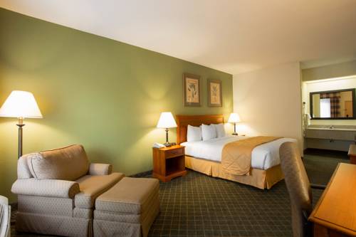 Imagen de la habitación del Hotel Clarion Inn & Suites Aiken. Foto 11