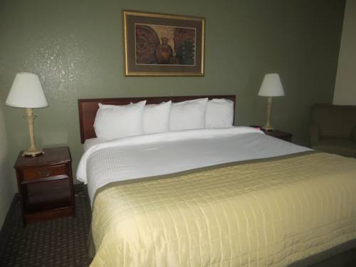 Imagen de la habitación del Hotel Clarion Inn & Suites West Knoxville. Foto 3