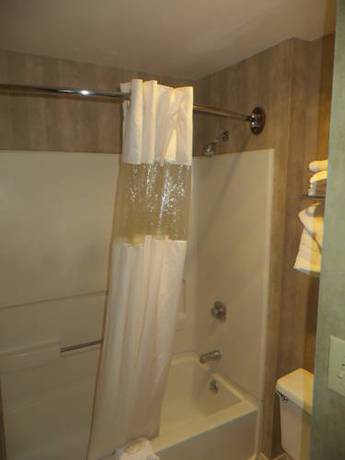 Imagen de la habitación del Hotel Clarion Inn & Suites West Knoxville. Foto 8