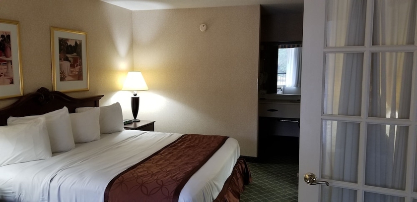 Imagen de la habitación del Hotel Clarion Inn and Suites. Foto 11