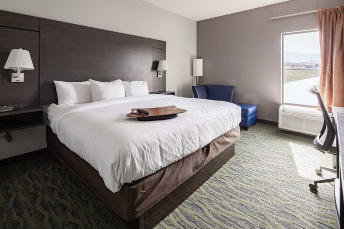 Imagen de la habitación del Hotel Clarion Inn near Lookout Mountain. Foto 9