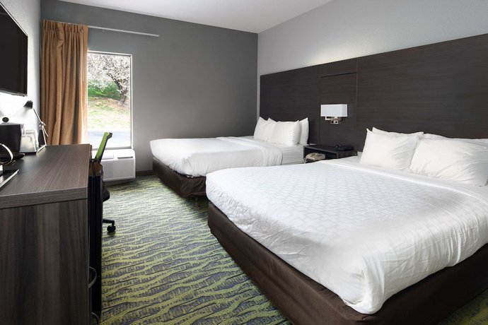 Imagen general del Hotel Clarion Inn near Lookout Mountain. Foto 1