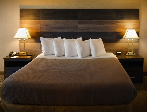 Imagen de la habitación del Hotel Clarion Philadelphia International Airport. Foto 9