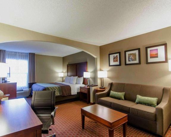 Imagen de la habitación del Hotel Clarion Pointe Apex. Foto 17