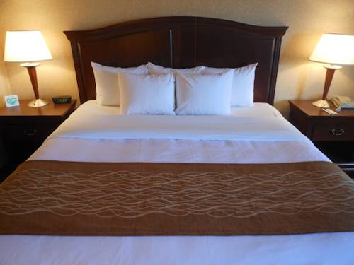Imagen de la habitación del Hotel Clarion Pointe Harrisonburg. Foto 9