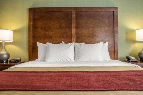 Imagen de la habitación del Hotel Clarion Pointe Jamestown - Falconer. Foto 5