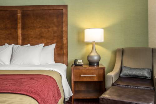 Imagen de la habitación del Hotel Clarion Pointe Jamestown - Falconer. Foto 10