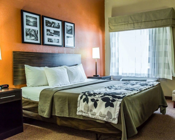 Imagen de la habitación del Hotel Clarion Pointe Lakeland I-4. Foto 7