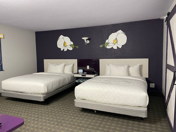 Imagen de la habitación del Hotel Clarion Pointe Tallahassee-State Capitol. Foto 11