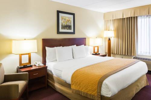 Imagen de la habitación del Hotel Clarion, Somerset. Foto 6