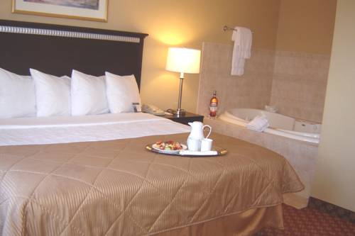 Imagen de la habitación del Hotel Clarion and Conference Center. Foto 4
