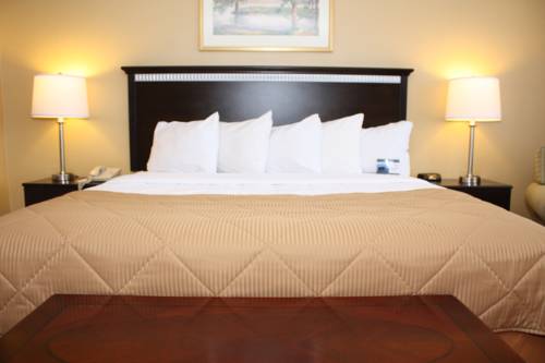 Imagen de la habitación del Hotel Clarion and Conference Center. Foto 10