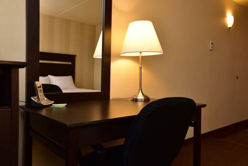 Imagen de la habitación del Hotel Clarion and Conference Centre. Foto 13