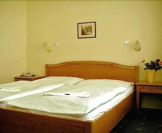 Imagen de la habitación del Hotel Claris, Praga. Foto 8