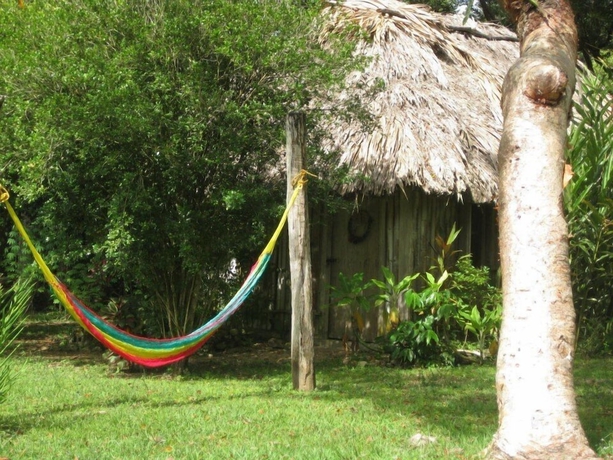 Imagen de la habitación del Hotel Clarissa Falls Resort. Foto 8
