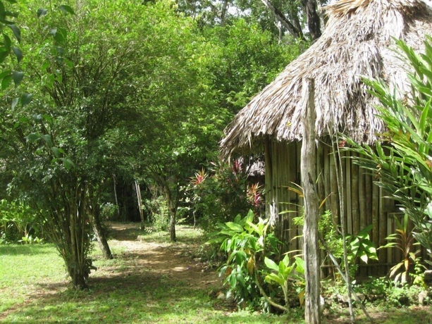Imagen de los interiores del Hotel Clarissa Falls Resort. Foto 12
