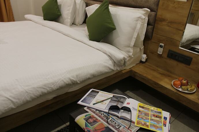 Imagen general del Hotel Clarks Collection Somnath. Foto 9