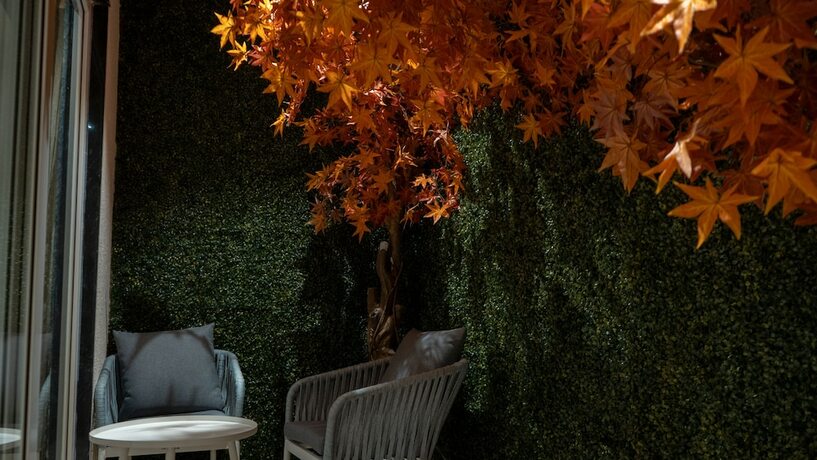 Imagen general del Hotel Clarks Inn Suites Kangra. Foto 10