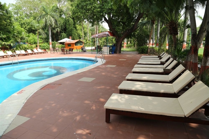 Imagen de la piscina del Hotel Clarks Shiraz. Foto 11