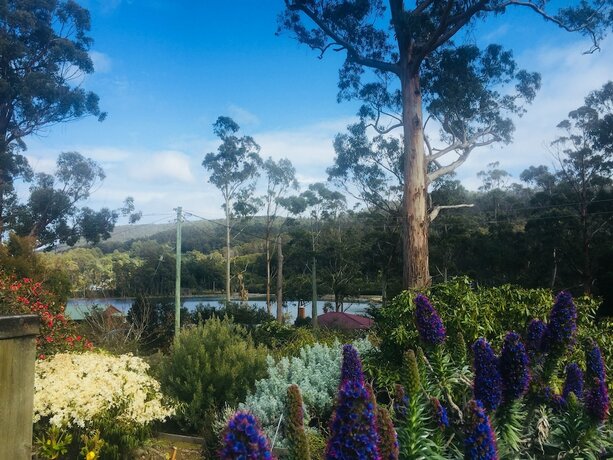 Imagen de los exteriores del Hotel Classic Cottages Port Arthur. Foto 18