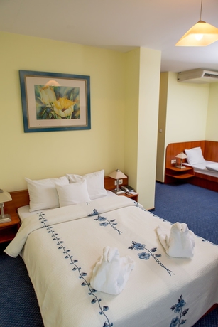 Imagen de la habitación del Hotel Classic, Rzesz&oacute;w. Foto 10