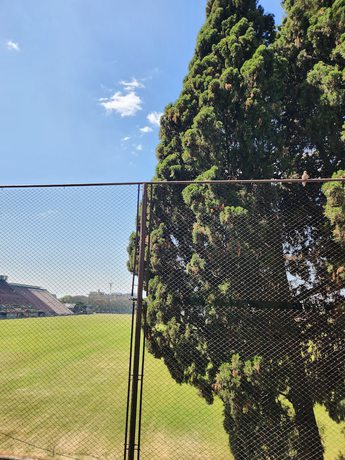 Imagen de la habitación del Hotel Clayton Buenos Aires. Foto 12