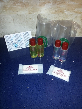 Imagen de la habitación del Hotel Cleopatra Spa. Foto 4