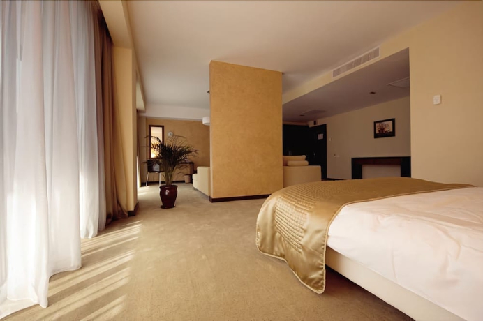 Imagen de la habitación del Hotel Clermont, Covasna. Foto 5