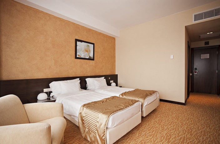 Imagen de la habitación del Hotel Clermont, Covasna. Foto 7