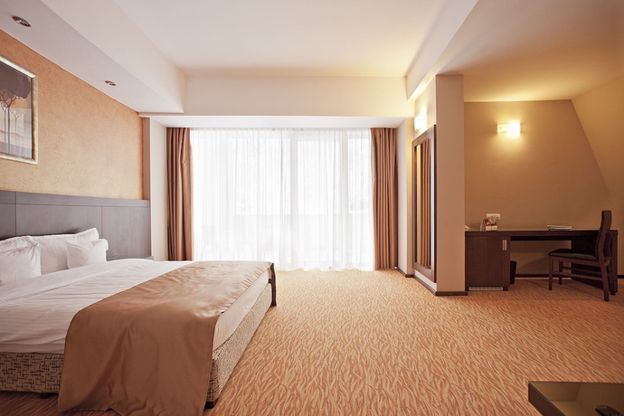 Imagen de la habitación del Hotel Clermont, Covasna. Foto 9