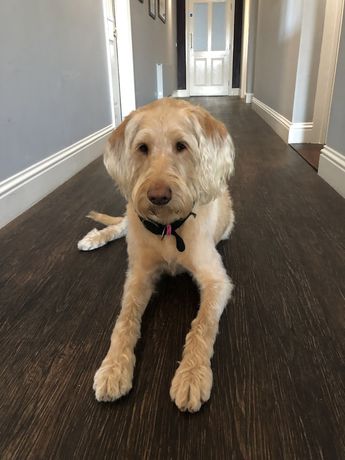 Imagen de los interiores del Hotel Cliff House, Bournemouth. Foto 19