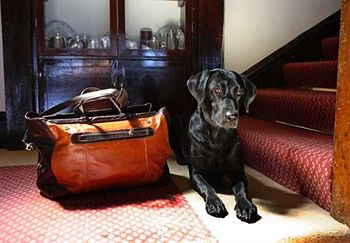 Imagen del bar/restaurante del Hotel Cliftonville. Foto 6