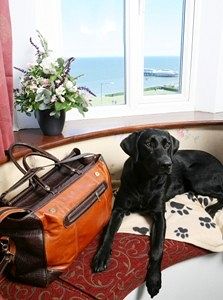 Imagen de la habitación del Hotel Cliftonville. Foto 7