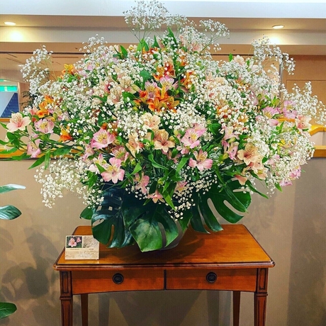 Imagen de los interiores del Hotel Clio Court Hakata. Foto 18